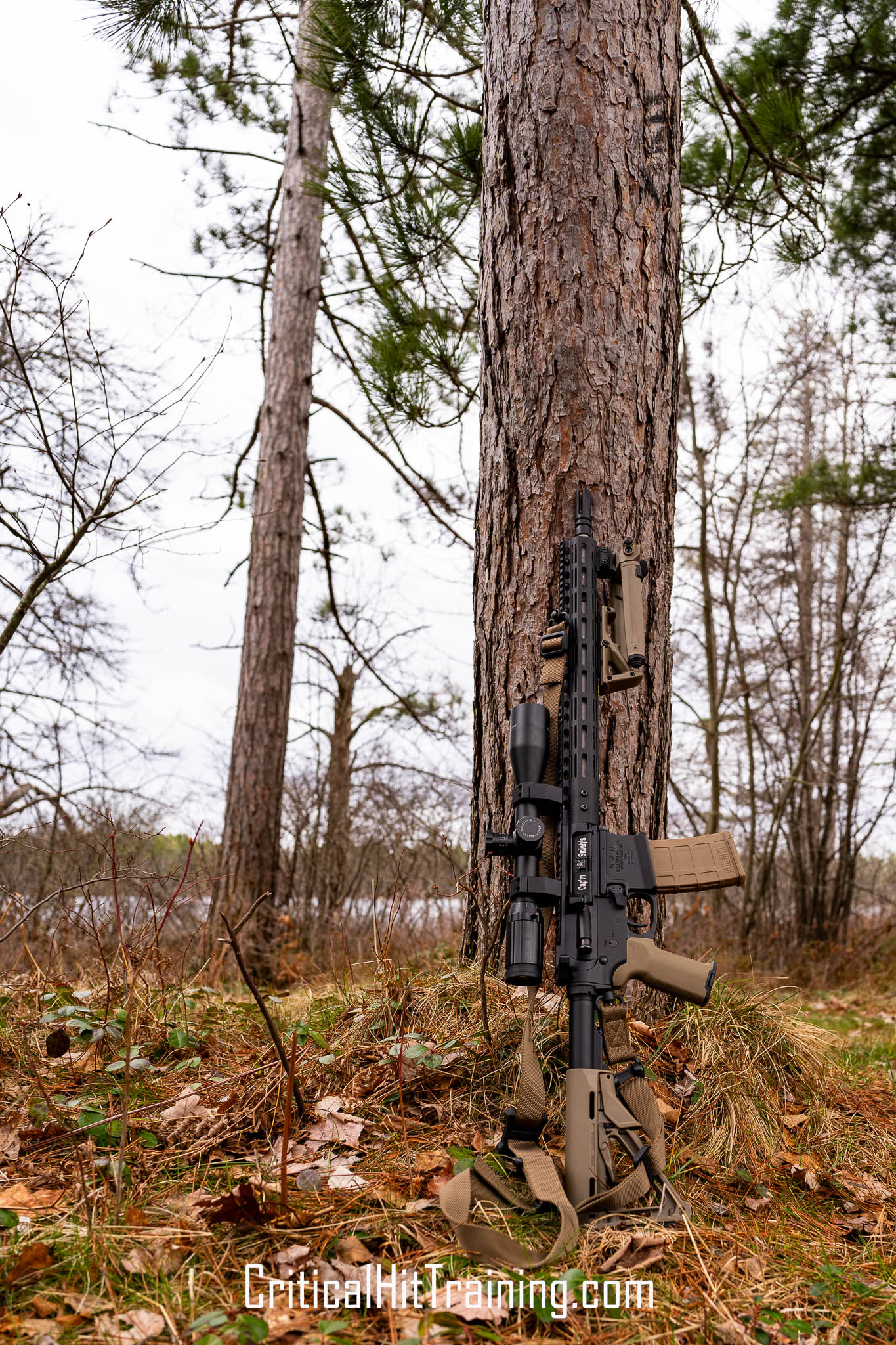 An AR-15 rifle leaning against a tree, with its sleek black design contrasting against the natural bark, set in an outdoor environment.